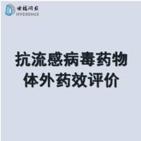 抗流感病毒药物体外细胞水平药效评价 CC50测定