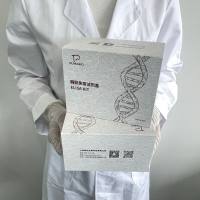 人（Human）天冬氨酸（ASP）ELISA检测试剂盒