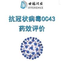抗冠状病毒OC43药物体外细胞水平药效评价 CC50测定