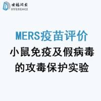 P2级MERS疫苗小鼠免疫及假病毒的攻毒保护评价实验