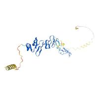 重组小鼠RSPO1蛋白 | Recombinant Mouse RSPO1, 21-209aa