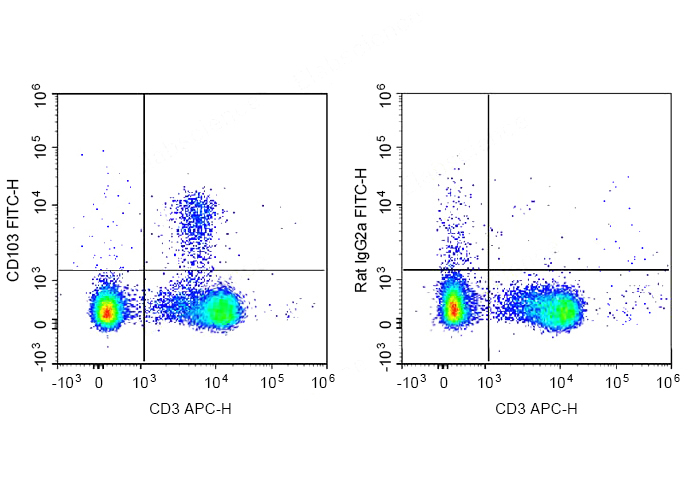 FineTest®647 Anti-Mouse CD103 