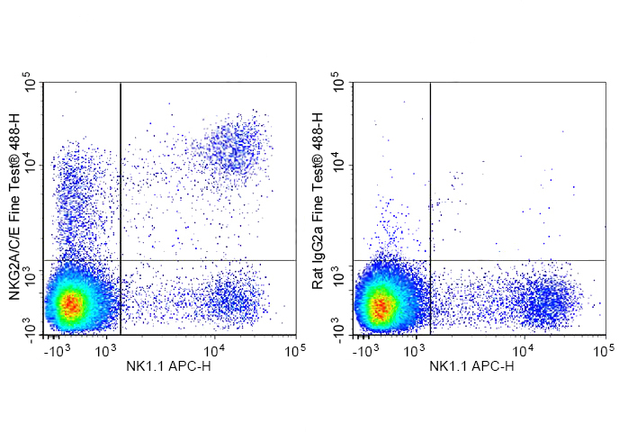 FineTest®488 Anti-Mouse NKG2A/
