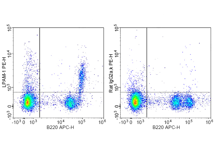 PE Anti-Mouse LPAM-1 Antibody(