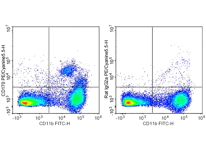PE-Cy5.5 Anti-Mouse CD170 Anti
