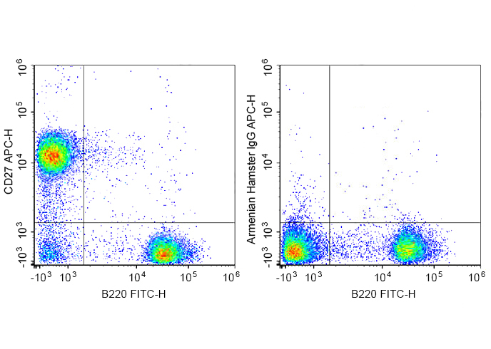 APC Anti-Mouse CD27 Antibody(L