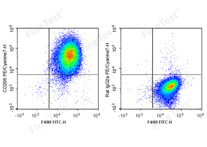 PE-Cy7 Anti-Mouse CD206 Antibo