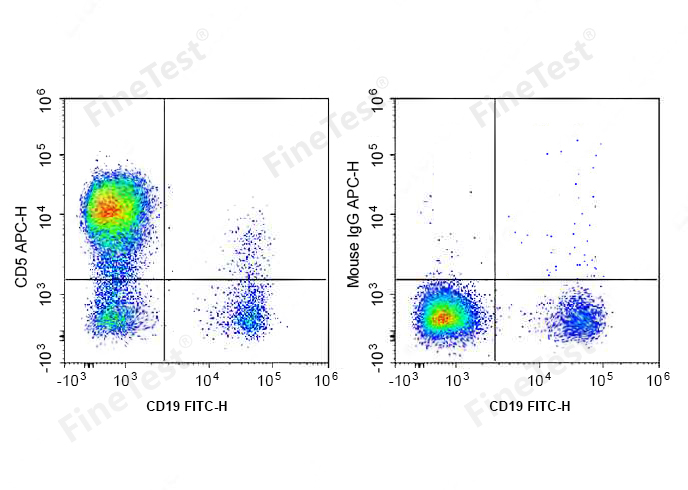 APC Anti-Human CD5 Antibody(HI