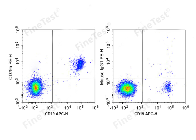 PE Anti-Human CD79A Antibody(H