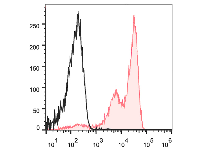 FineTest®Violet 450 Anti-Mouse