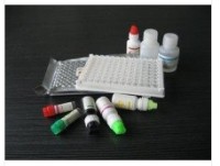 人胃泌素细胞抗体(GCA)检测试剂盒