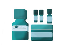 PARP1 比色测定试剂盒