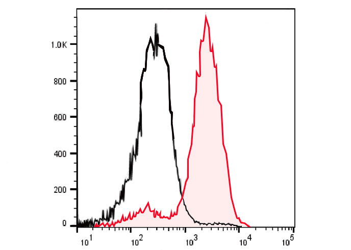 FITC Anti-Mouse CD2 Antibody(R