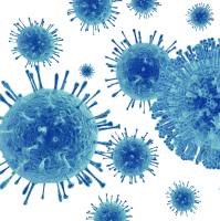 AAV Transfer plasmid