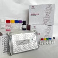 人（Human）糖原合成酶激酶3α(GSK3α)ELISA检测试剂盒