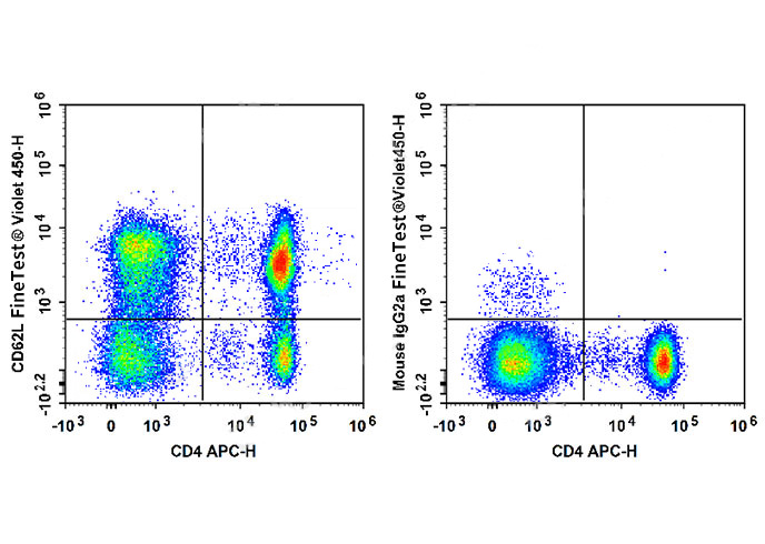 FineTest®Violet 450 Anti-Human