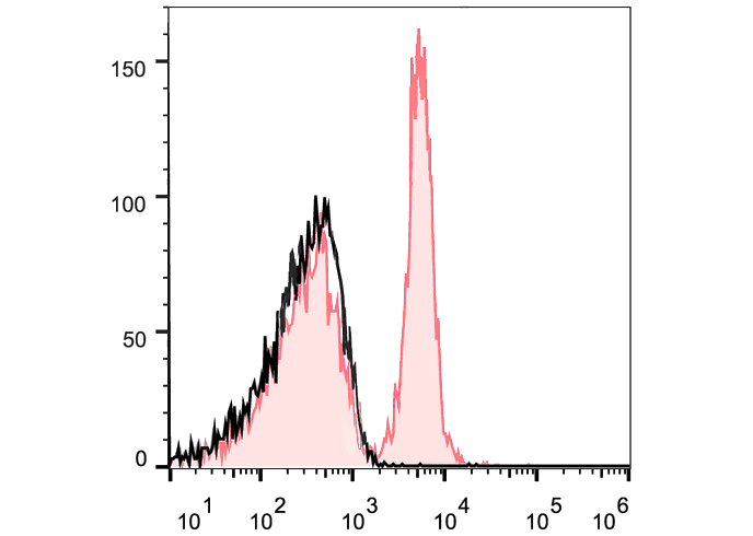 FineTest®647 Anti-Mouse CD40 A