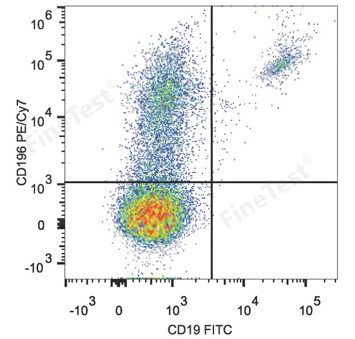 PE-Cy7 Anti-Human CD196 Antibo
