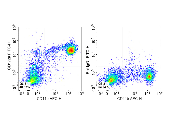 FITC Anti-Mouse CD172a/SIRPα A
