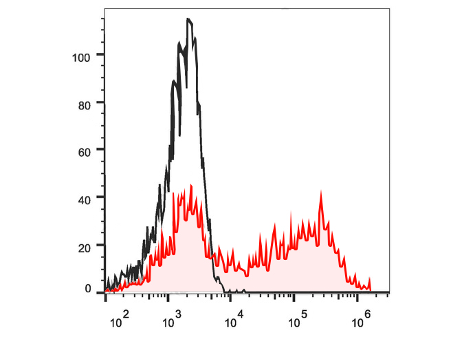 PE Anti-Mouse IL-10 Antibody(J