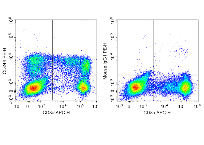 PE Anti-Human CD244 Antibody(C