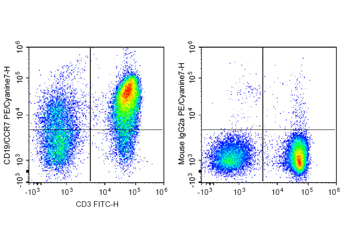 PE-Cy7 Anti-Human CD197/CCR7 A