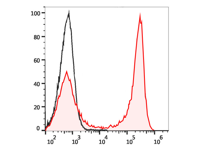FITC Anti-Mouse CD90 Antibody(