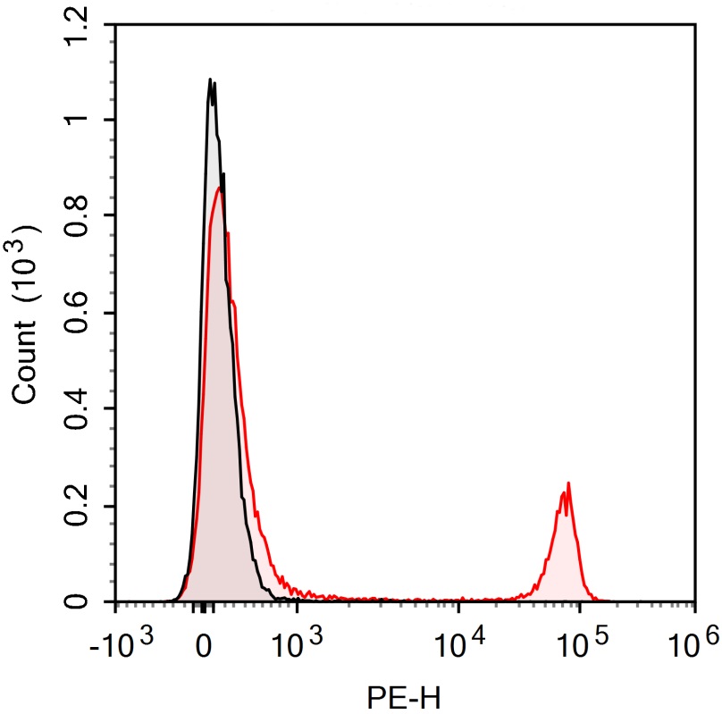PE Anti-Mouse CD4 Antibody(GK1