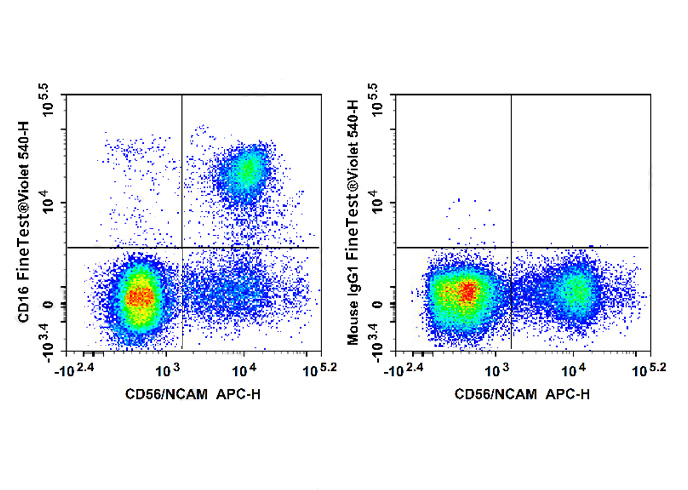 FineTest®Violet 540 Anti-Human