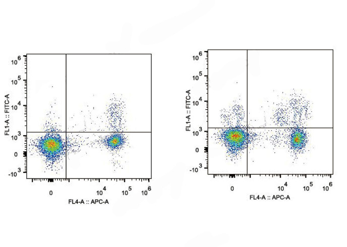 FineTest®488 Anti-Mouse CD25 A