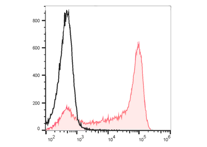 FineTest®700 Anti-Mouse Ly6G A