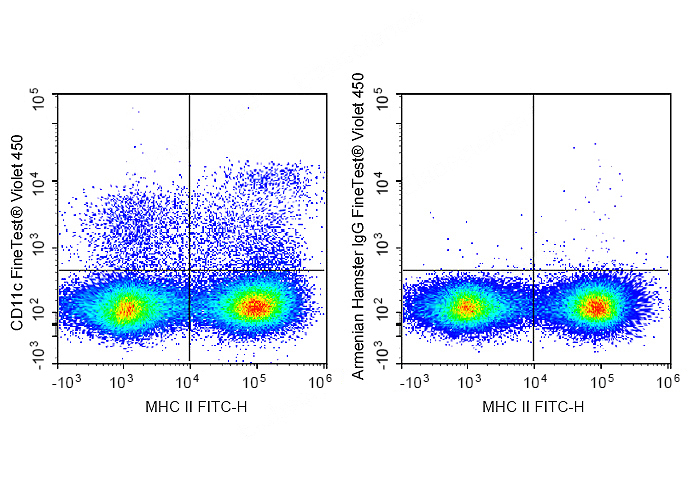 FineTest®Violet 450 Anti-Mouse