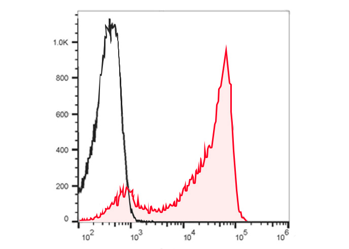 FineTest®700 Anti-Human CD45RA
