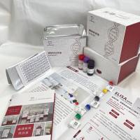 人(Human)糖化血红蛋白(HbA1c)ELISA检测试剂盒