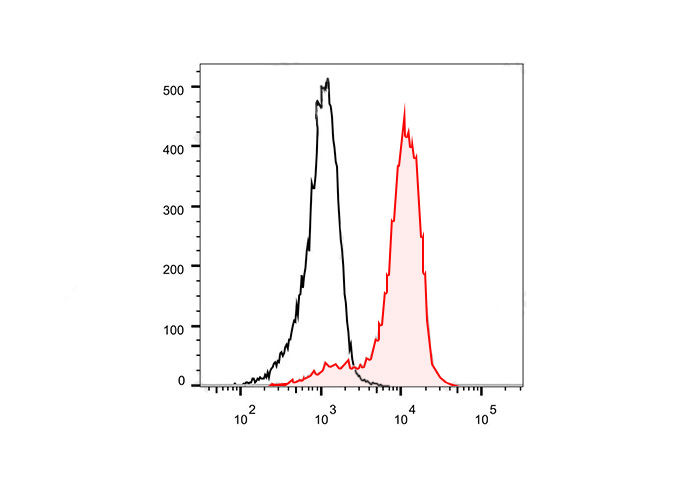 FineTest®700 Anti-Human CD133