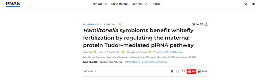 AtaGenix定制抗Tud蛋白多克隆抗体助力解密昆虫-微生物共生机制