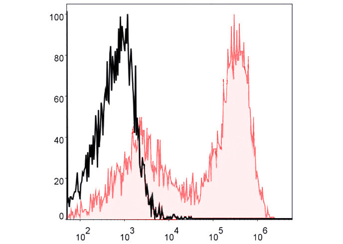 APC Anti-Mouse MHCII Antibody(