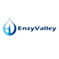 2× High specificity Taq PCR ProMix （Dye Plus 1）