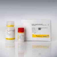 Enzytec™ Liquid Succinic acid