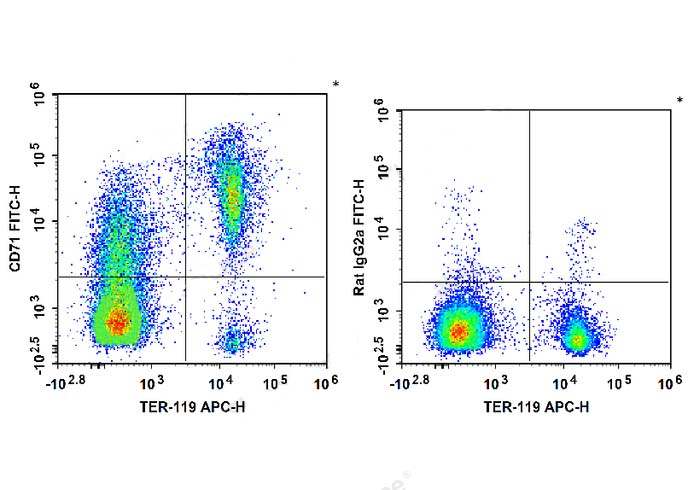 FITC Anti-Mouse CD71 Antibody(