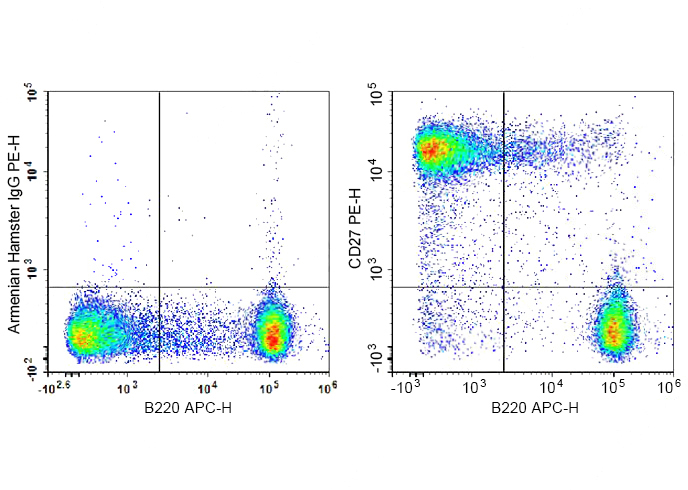 PE Anti-Mouse CD27 Antibody(LG