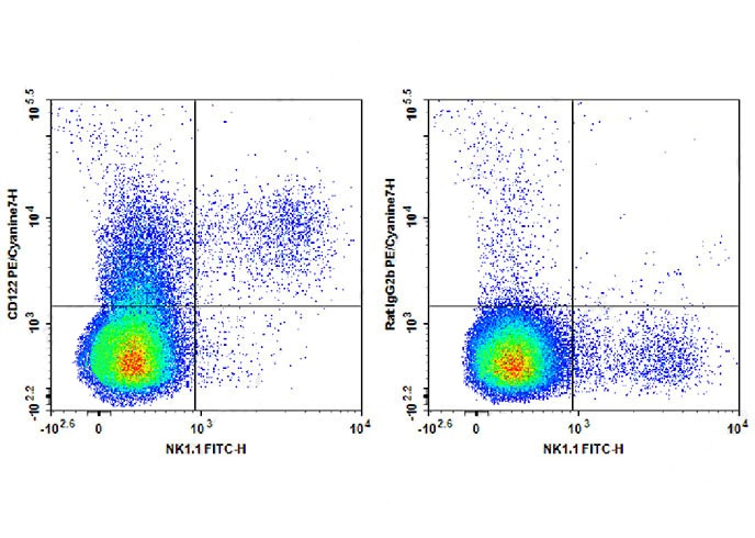 PE-Cy7 Anti-Mouse CD122 Antibo