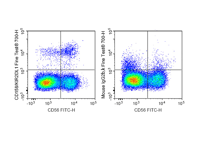 FineTest®700 Anti-Human CD158/