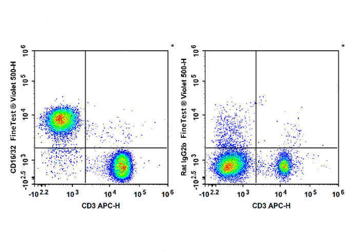 FineTest®Violet 500 Anti-Mouse