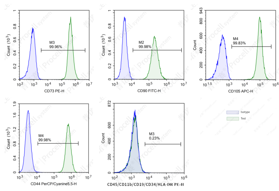 人脐带MSCs表面Marker的流式细胞术检测结果