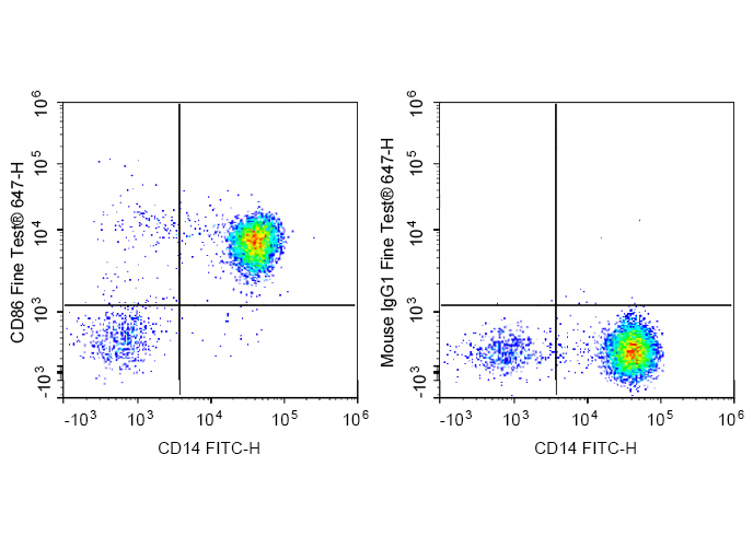 FineTest®647 Anti-Human CD86 A