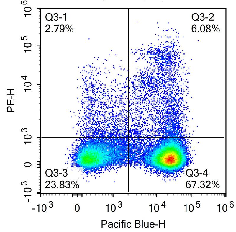 PE Anti-Mouse CD11C Antibody(N