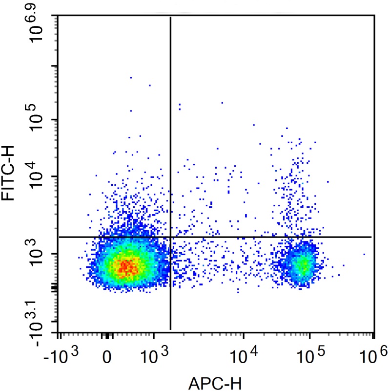 FITC Anti-Mouse CD25 Antibody(