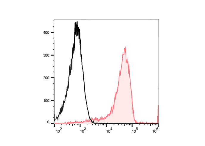 APC Anti-Human CD192/CCR2 Anti