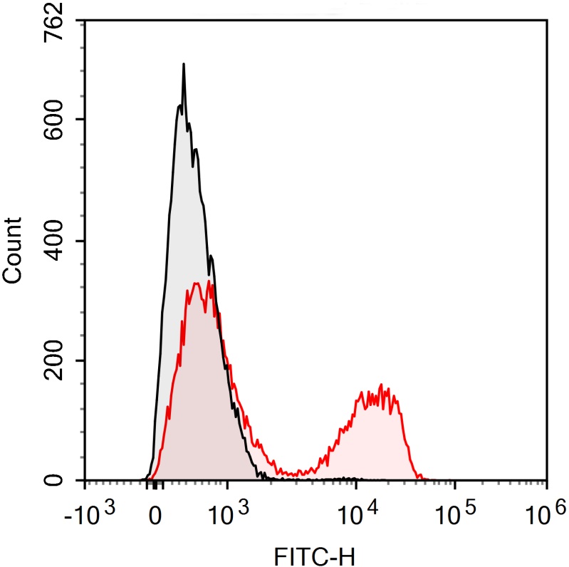FITC Anti-Mouse CD3E Antibody(
